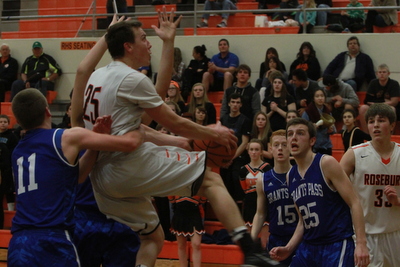 RHS Stephens 2015 5511