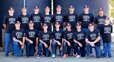 150617 Renegades 2015 team