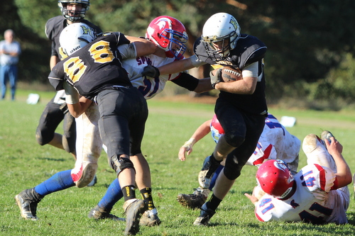 CV FB 2014 1435