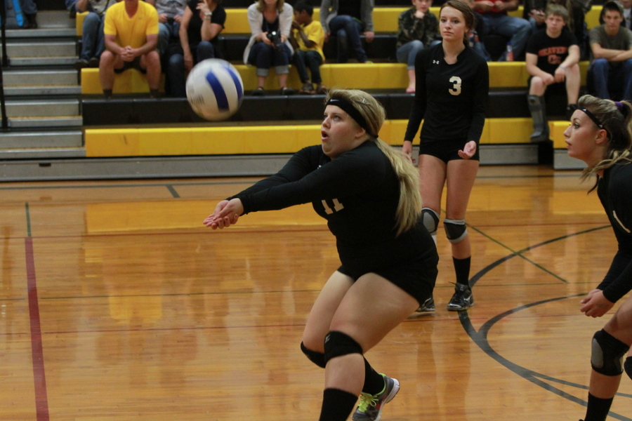 CVVBIMG 2611